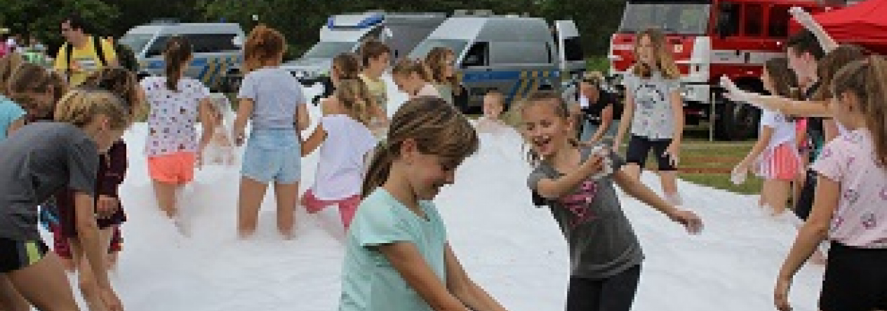 2019_dd_posadka_mini_web.jpg