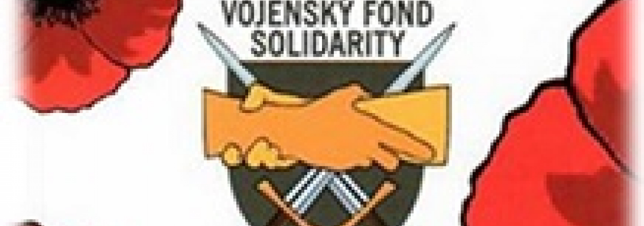 2020_vfs_vytezek_sbirky_mini_intra.jpg