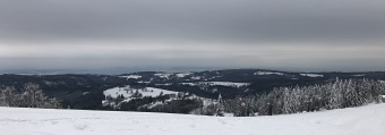 uvodni_foto.jpg