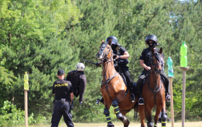 Jízdní policie v akci