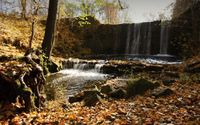Rostislav Stach považuje fotografie Jana Hlaváče za umělecké snímky, které dávají široké veřejnosti nahlédnout do tajů života nejen volně žijící zvěře, ale i rostlin, krajiny, lesů, hor a potoků