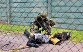 8_psi_z_kategorie_hlidkovych_a_obrannych_se_primarne_vyuzivaji_ke_strezeni_objektu_vcetne_zadrzeni_narusitele.jpg