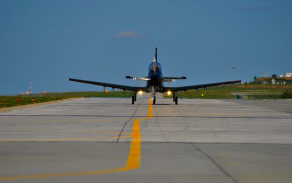 albatros.jpg