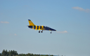 albatros_1.jpg